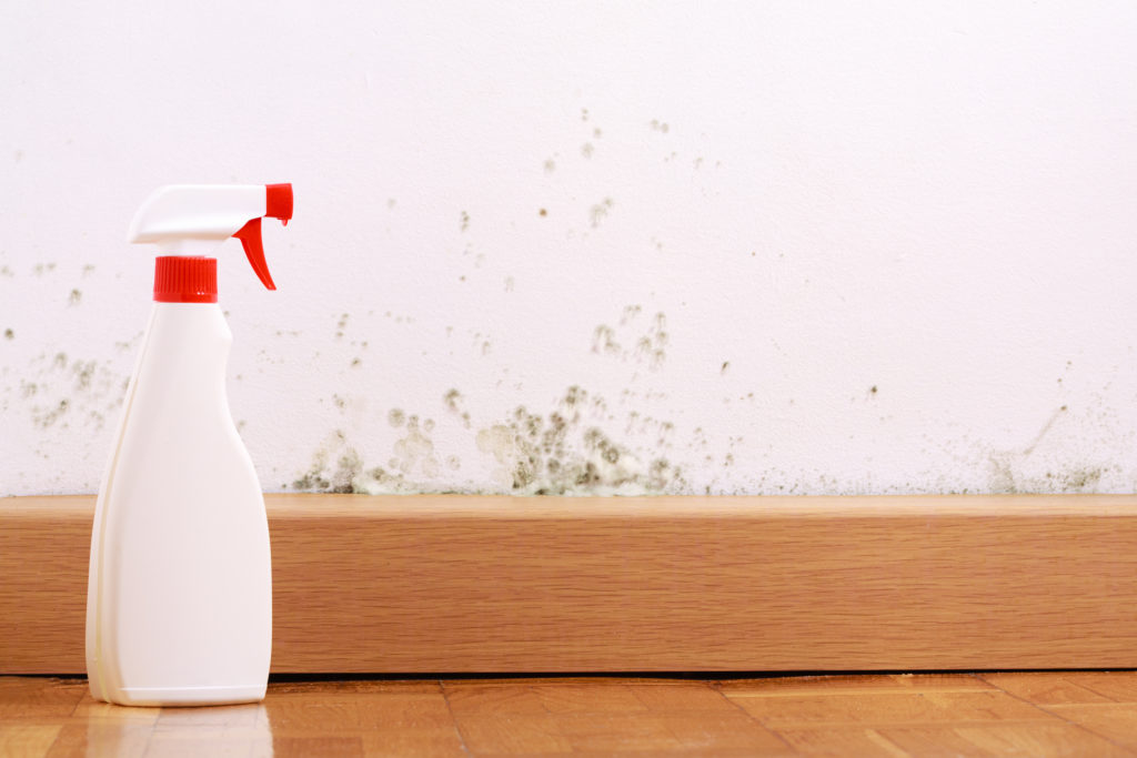 Spray bottle sits on wood floor beside mold-speckled white wall