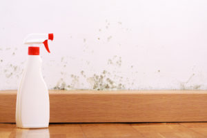 Spray bottle sits on wood floor beside moldy white wall.